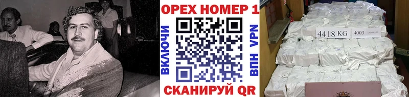 Купить закладки  Куртамыш  КОКАИН VHQ 