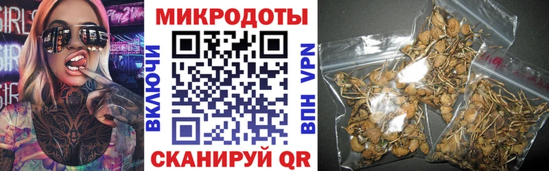 Купить где  Куртамыш  Псилоцибиновые грибы Magic Shrooms 