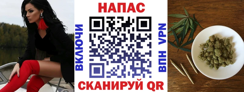 Купить  Куртамыш  Бошки марихуана ГИДРОПОН 